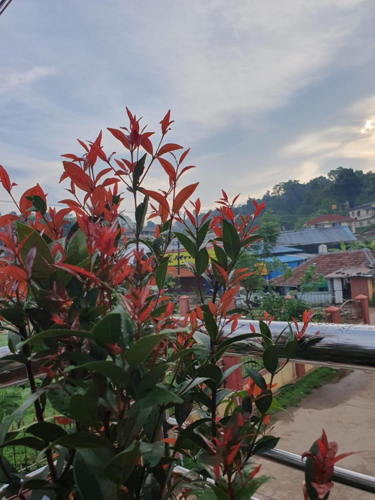 Varam Homestay Madikeri Exteriér fotografie
